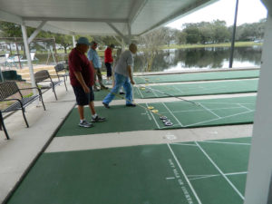 Shuffleboard